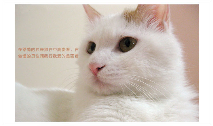 宜家绣艺 精准印花3D十字绣抱枕创意新款情侣