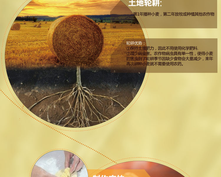 京东商城 麦恩 面包面粉无添加 澳洲进口小麦 高