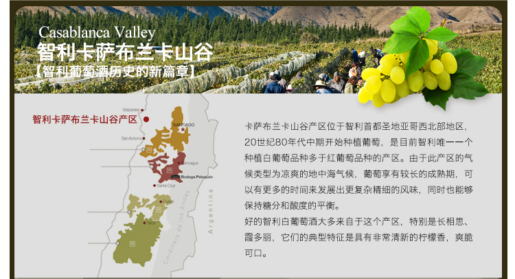 阿伦选·葡萄酒 49\/63 木兰笛酒庄长相思限量精