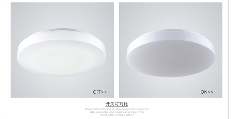
                                                                                ESDIMANLED吸顶灯现代简约卧室灯餐厅灯具客厅灯饰2254 直径40cmLED白光24w                