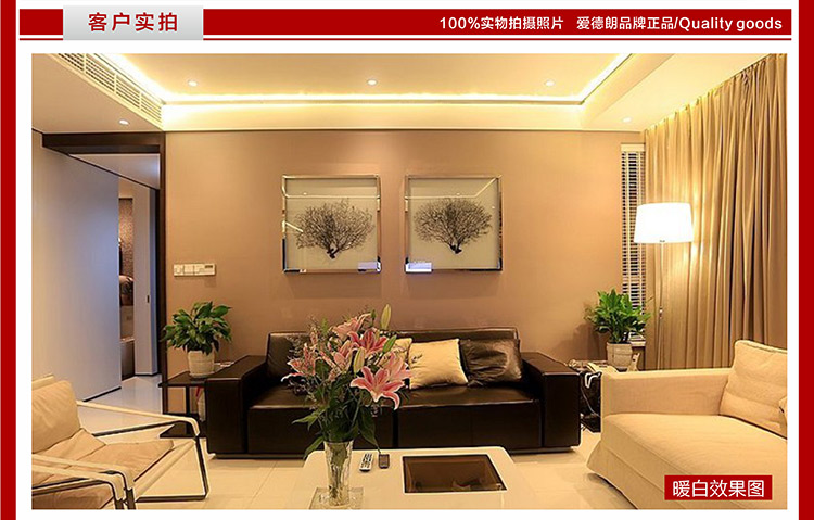 爱德朗led灯带高亮5050贴片灯条 客厅吊顶光带