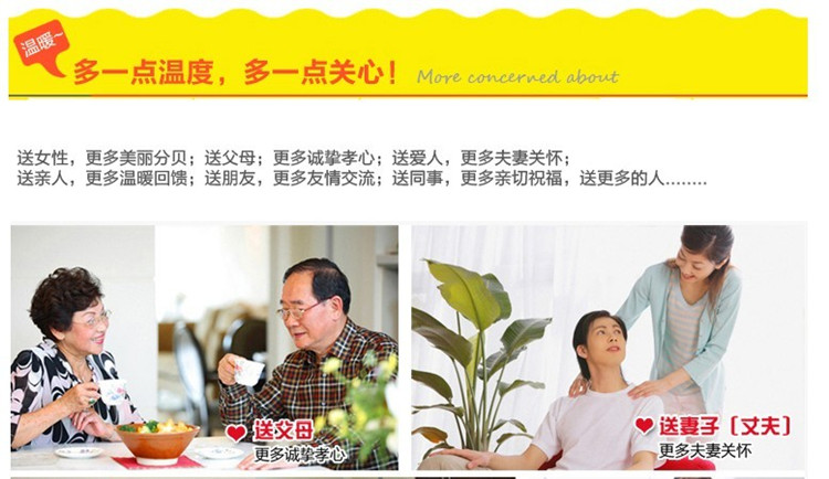TO-PLAN 金兔子大码暖贴暖宝宝热帖热宝14小时 10片装
