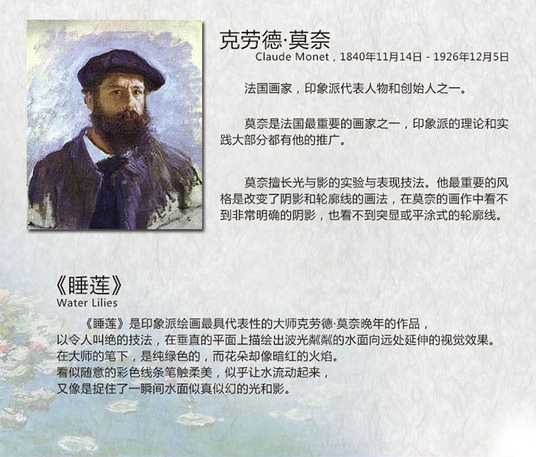
                                        法国DMC十字绣新款 多美绣   客厅花草风景 睡莲 莫奈名画 睡莲 1917-19 CM-007满绣 11CT三股白布精准印布                