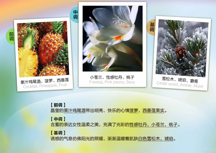 京东商城 Ferragamo\/菲拉格慕梦中彩虹女士香