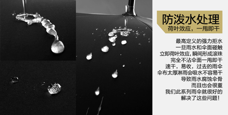 蒲公英十二生肖兽首伞强拒水一甩干高档礼品紫色/黑色/酒红色三色可选广告伞 龙首 黑色