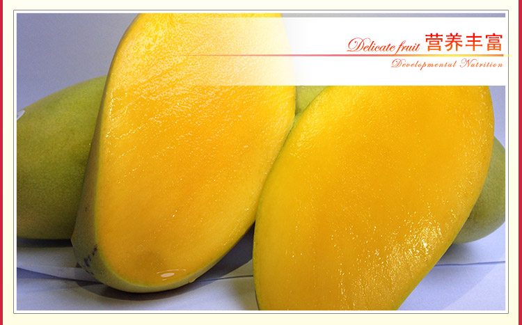 芒果-台湾水仙芒 让你尝到宝岛种植园原汁原味