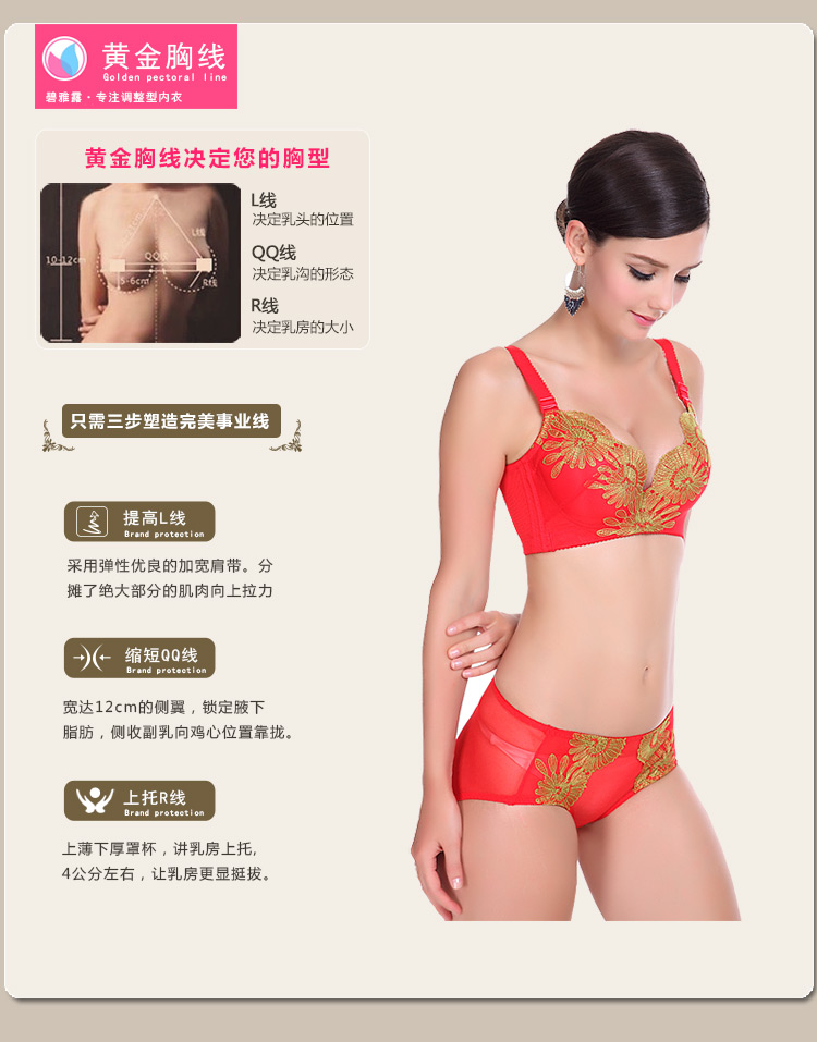 碧雅露2014新款聚拢<em>文胸</em>罩杯内衣纯棉透气刺