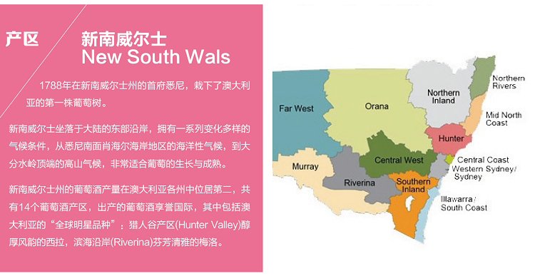 京东红酒节 澳大利亚香槟起泡酒 新南威尔士产
