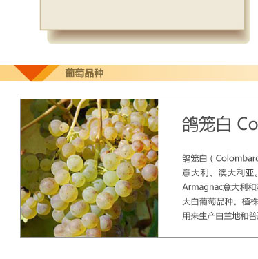  欧盟餐酒  法国原瓶进口 帝凡特酿干白葡萄酒 7