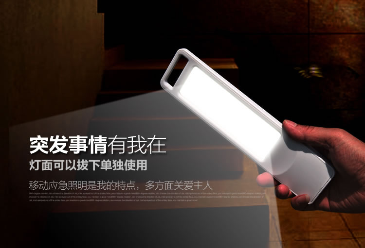 德尔尚预防近视台灯 灯头可插拔 护眼台灯 LED台灯 支架自由弯曲 移动照明 无蓝光 润目