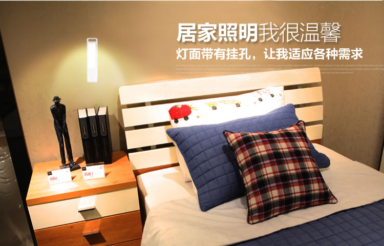 德尔尚预防近视台灯 灯头可插拔 护眼台灯 LED台灯 支架自由弯曲 移动照明 无蓝光 润目