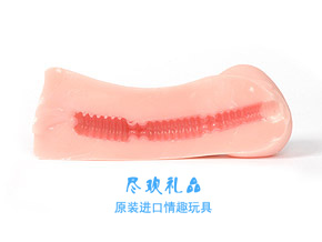 TOYSHEART 日本原装进口 <em>11岁少女</em>eleven 初