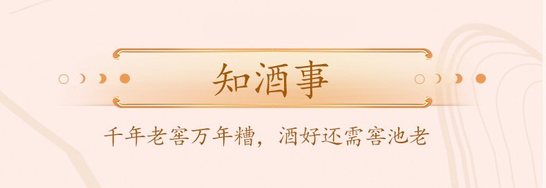 五粮液 普五第八代五粮液 浓香型白酒 52度 好事成双礼盒 500ml*2瓶 礼盒装