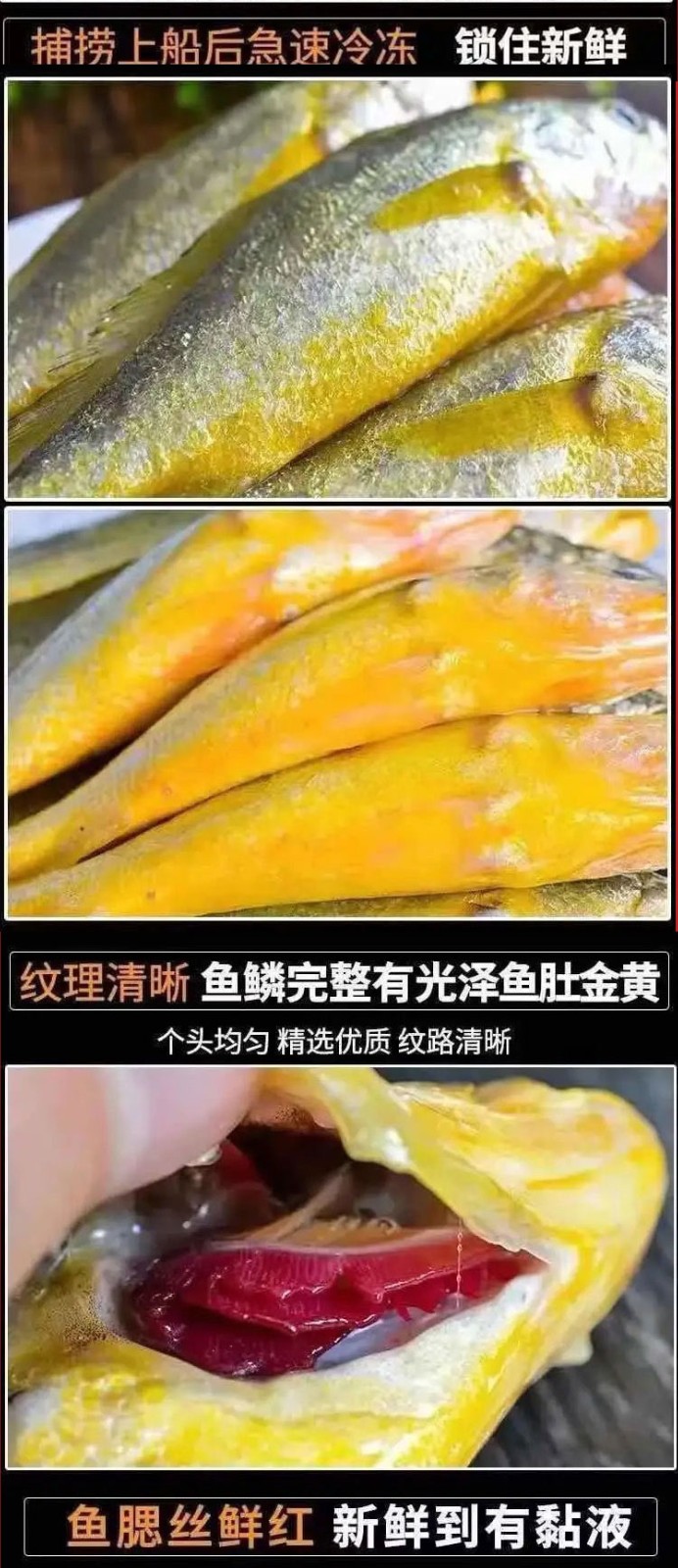 新鲜鱼类海鲜水产  健康轻食 生鲜 带鱼5斤中号段
