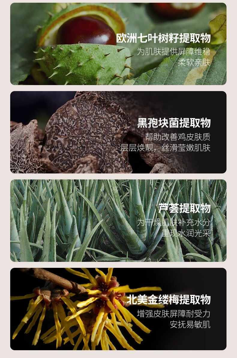 Andorheal黄糖去角质洁面磨砂膏 120g