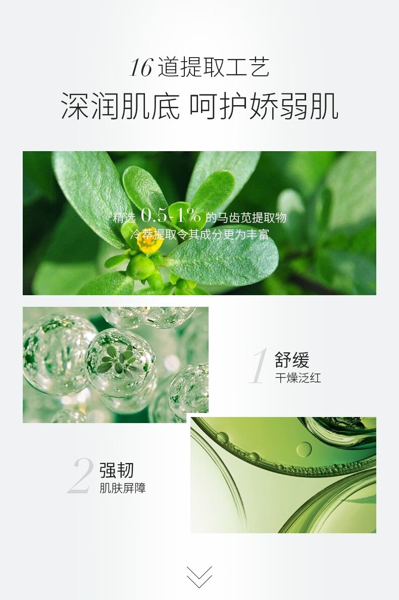 孔凤春 马齿苋水乳套装补水保湿滋润舒缓肌肤呵护屏障秋冬护肤组合 200ml调养水+100ml精华乳