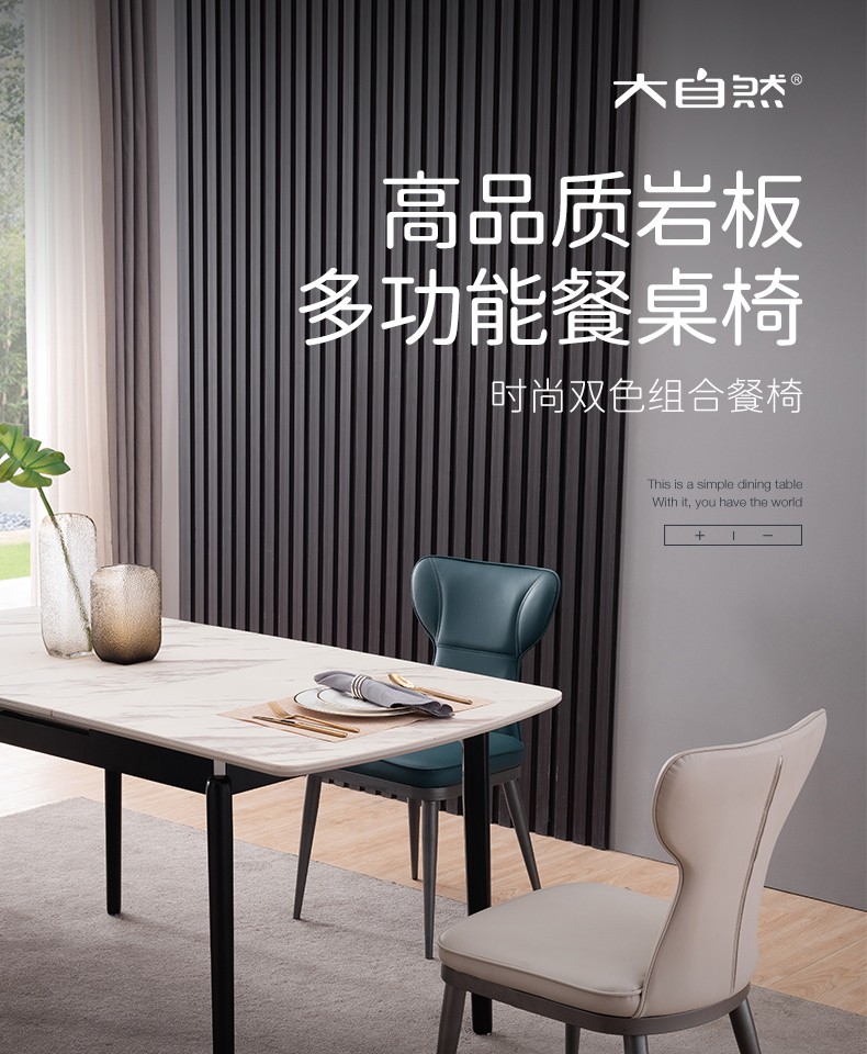 大自然餐桌 现代轻奢可伸缩折叠 餐厅家具桌椅组合家用耐用吃饭桌子【CT2032】 餐椅(单椅白色)