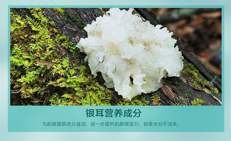 美加净面霜 银耳芦荟保湿霜 补水清爽日晚霜护肤品 面部护肤经典国货 80g*2