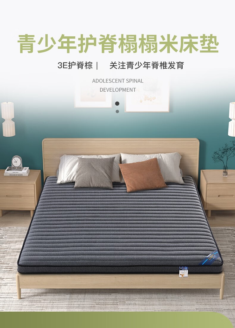 森林雅苑 床垫棕垫 3E环保椰棕垫 天然乳胶垫软硬两用 定制折叠榻榻米薄棕榈床垫 A款6CM厚=竹炭面料+3CM棕 0.9米*1.9米