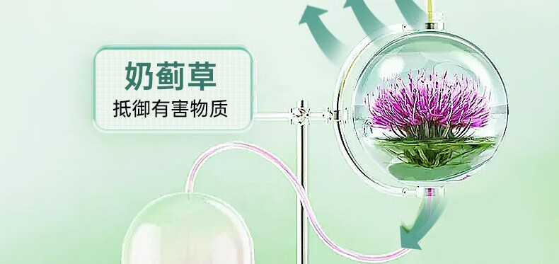 BYHEALTH汤臣倍健护肝片 养肝解烈酒奶蓟草姜黄素增强免疫成人加班熬夜应酬吃喝烟酒120粒 【全新配方】120粒/瓶