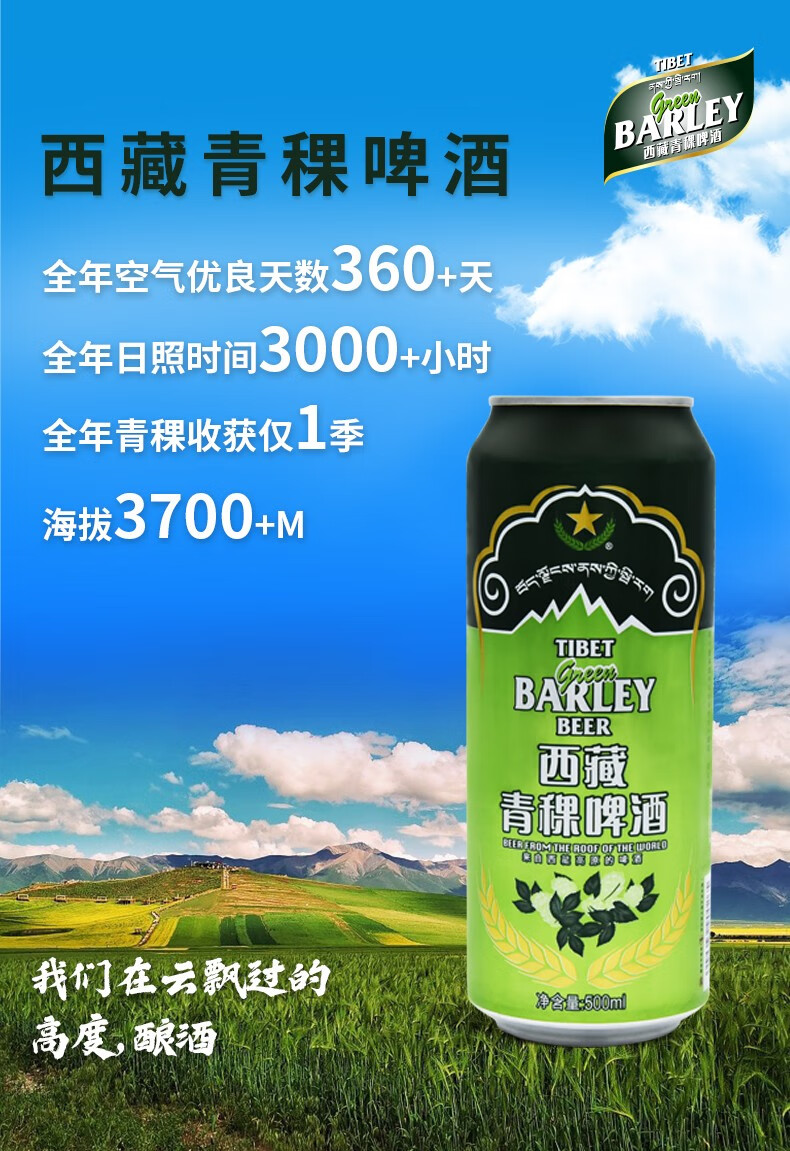 西藏青稞啤酒纯粮酿造低温慢发酵工艺10度500ml12瓶整箱装