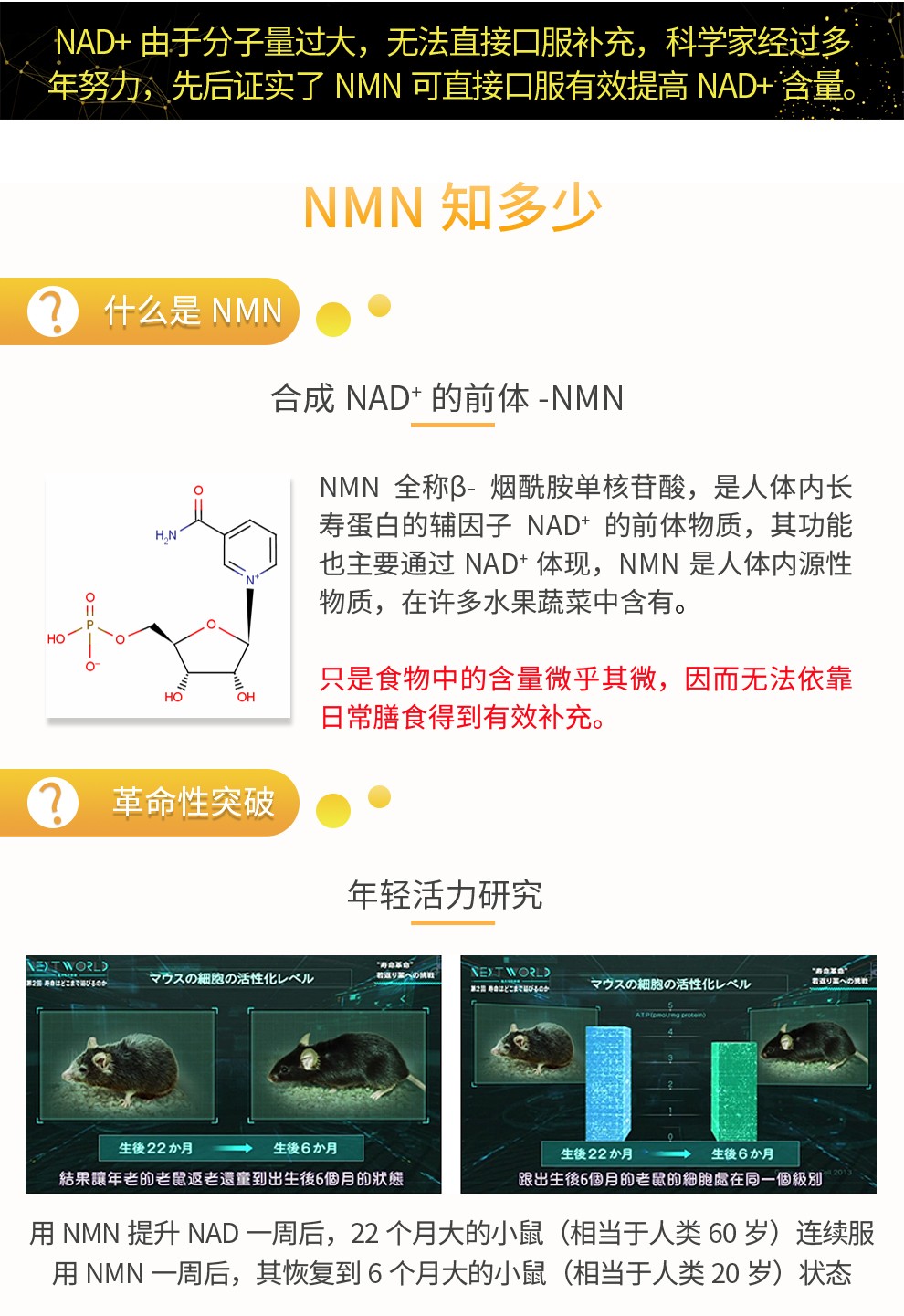 【日本直邮】兴和制药 MIRAI LAB NMN9000 高纯度抗衰老 逆龄丸