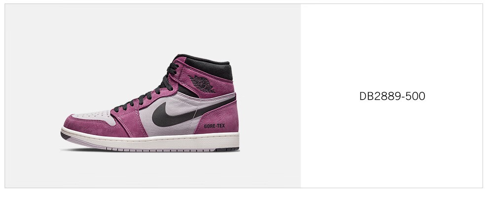 AIR JORDAN篮球鞋_AIR JORDAN 1 Element GORE-TEX 男子运动鞋 DB2889-500