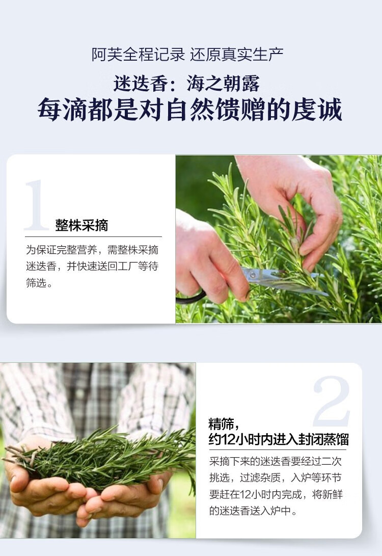阿芙（AFU） 葡萄籽油紧致提拉收毛孔提亮按摩精油SPA刮痧油七夕情人节礼物 100ml
