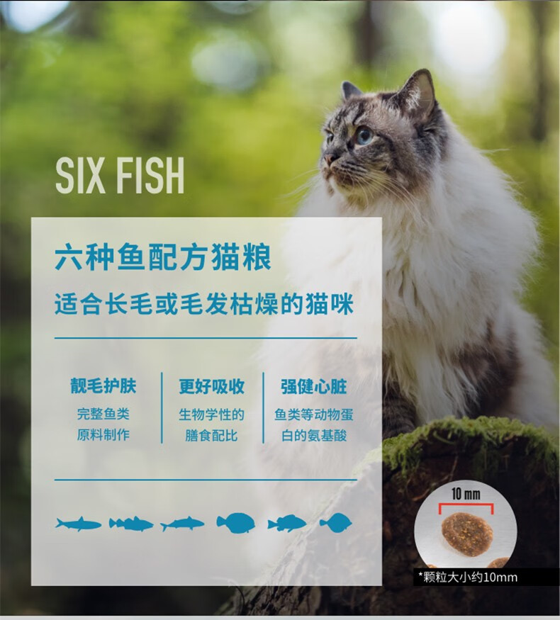 原始猎食渴望（ORIJEN）猫粮原装进口猫粮成猫天然无谷猫干粮鸡肉味 六种鱼猫粮5.4kg 效期2023/5