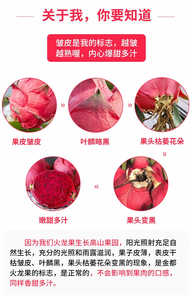 福笙记 金都一号 红心火龙果 5斤 图9