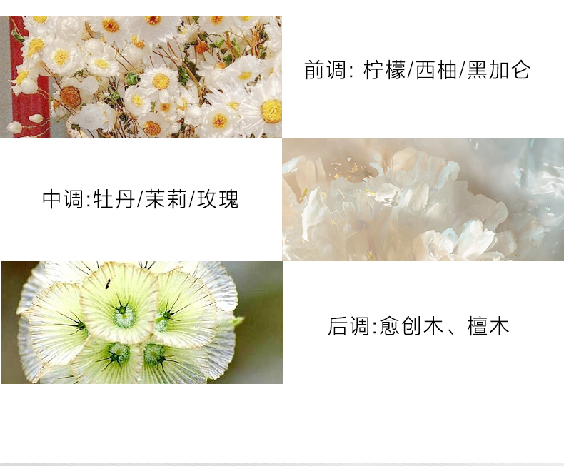 芬尚香水女士生人勿近沙龙香持久淡香生日礼物送女友 生人勿近