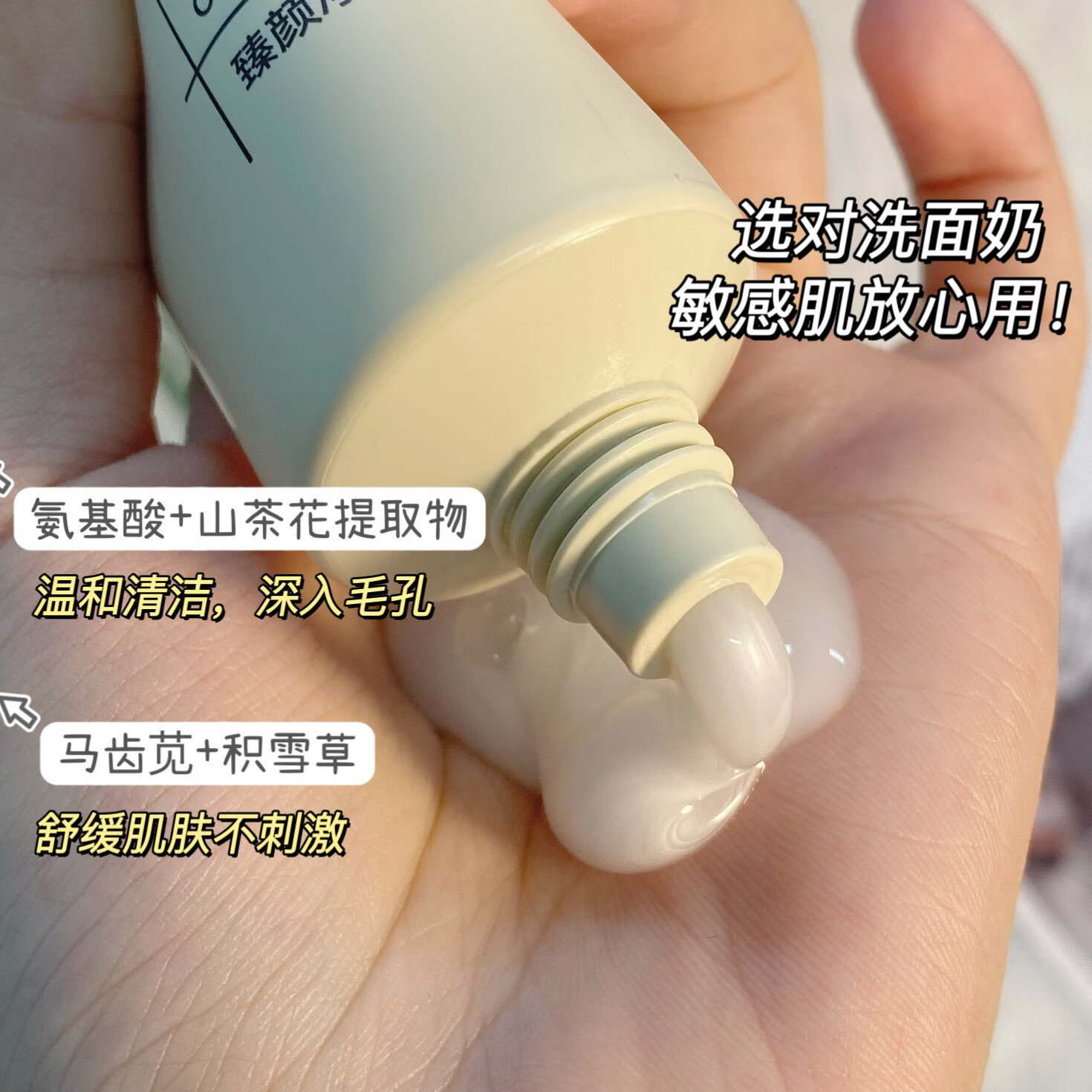 CCA洗面奶臻颜净透氨基酸洁面乳温和清洁毛孔控油 【臻颜净透洁面乳】 100g*1支装