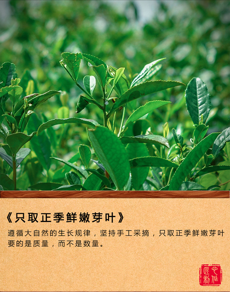 山间饮茗 2022新茶小种红茶茶叶浓香型武夷桐木散装500g 250g罐装送礼 自饮正山小种拍二 250g * 1罐