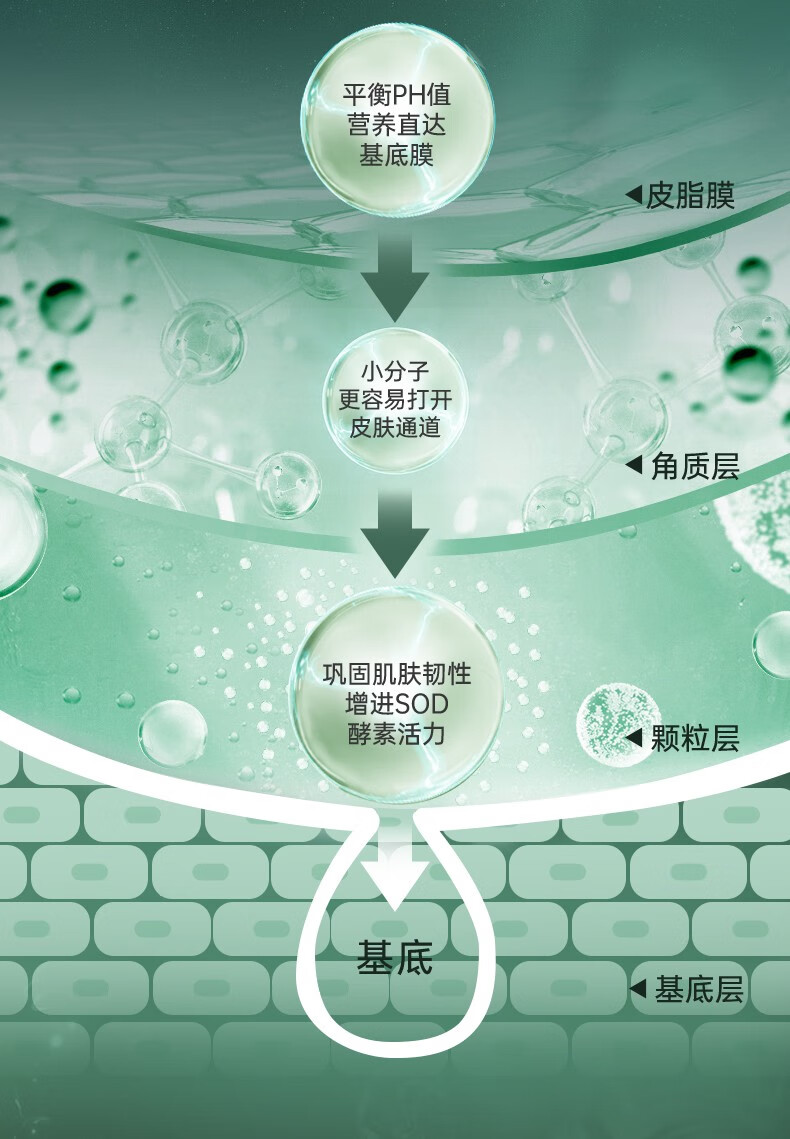 瑞斯美（LaEstephe） 瑞士原装进口绿鱼子海葡萄面膜 补水面膜 深度补水面膜 新年礼物 绿鱼子美白面膜1盒(5片)