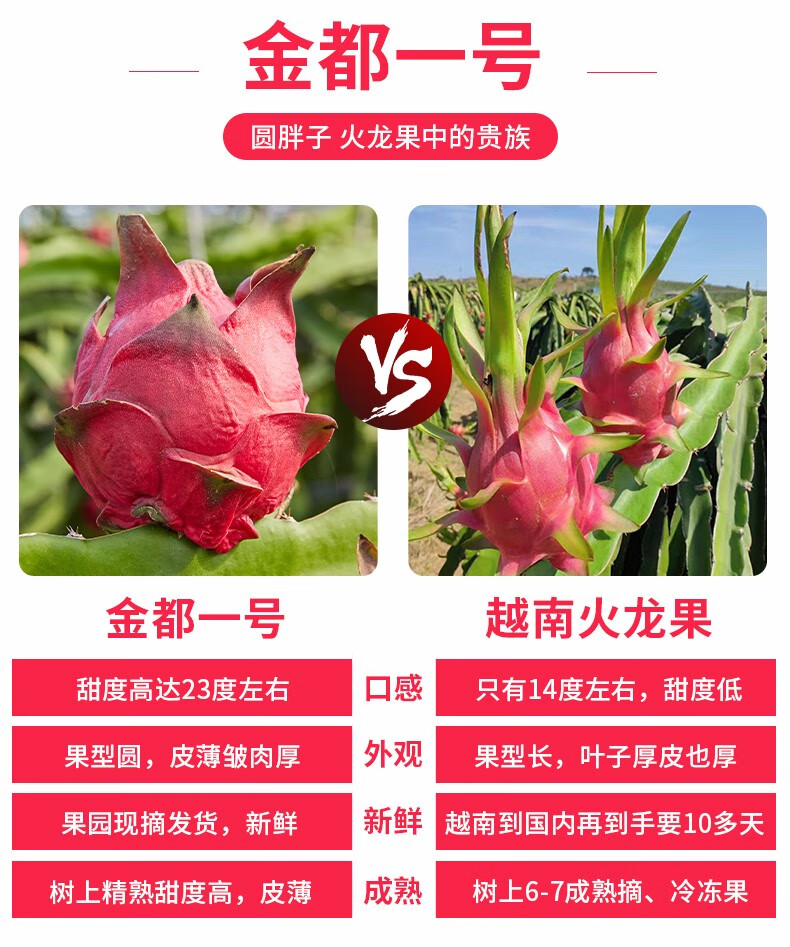 福笙记 金都一号 红心火龙果 5斤 图8