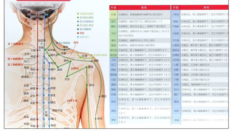 包邮3d女性经络穴位高清图册女性经络穴位图册穴位图人体经络穴位图