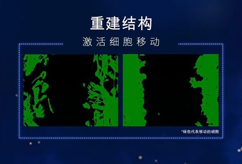 venrock美肌舒护小棕瓶精华液改善暗沉修护屏障补水保湿细腻毛孔舒护精华 1瓶