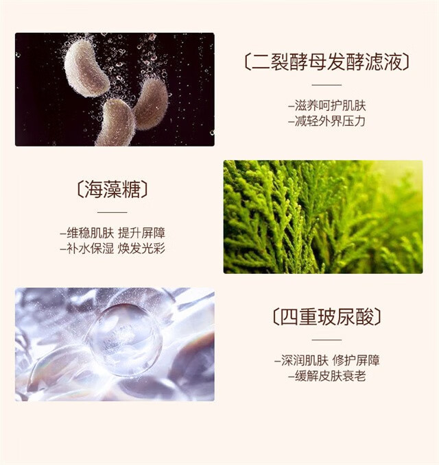 阿古丽娅（O'GULIA）红茶酵母润泽面膜120g补水滋润清洁肌肤涂抹面膜保湿男女通用 一罐装【120g】