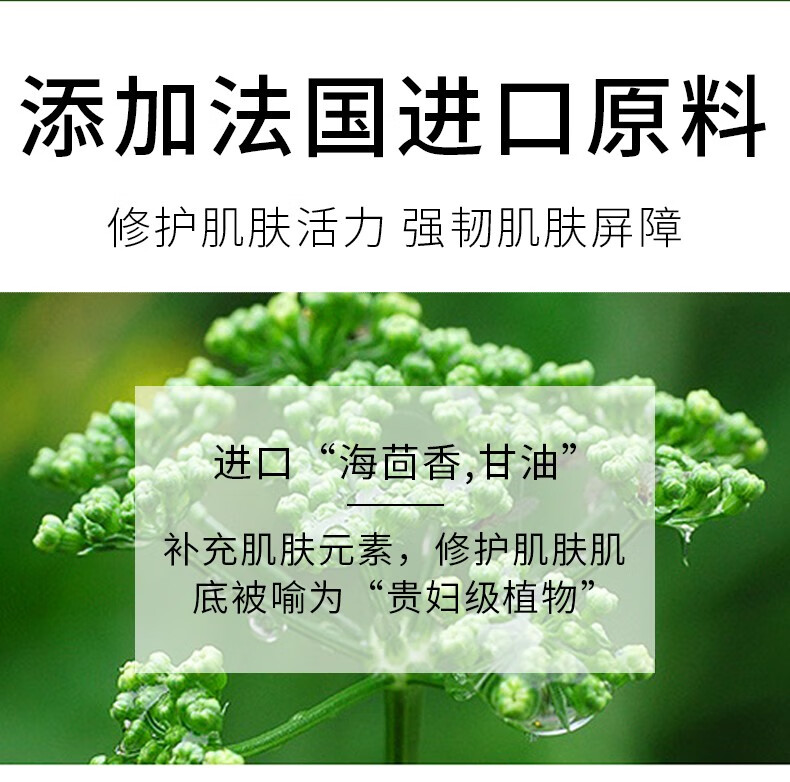 AOPY 海茴香清洁泥膜120g 深层清洁涂抹式收缩毛孔去黑头控油保湿面膜