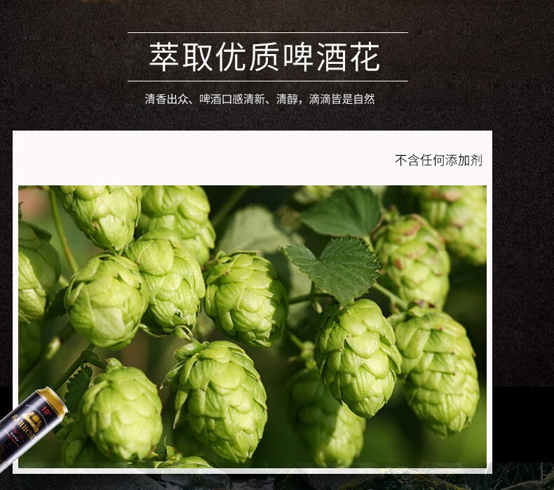 德国进口 芭诺斯 黑啤 500ml*24听 图2
