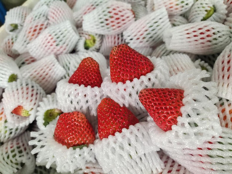 欣娃 四川大凉山草莓 现摘现发奶油草莓 新鲜水果 3斤中果（净重2.8）