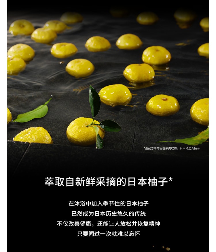 植村秀（Shu uemura） 洁颜油卸妆油 温和卸妆油 生日纪念日礼物 450ml  琥珀洁颜油