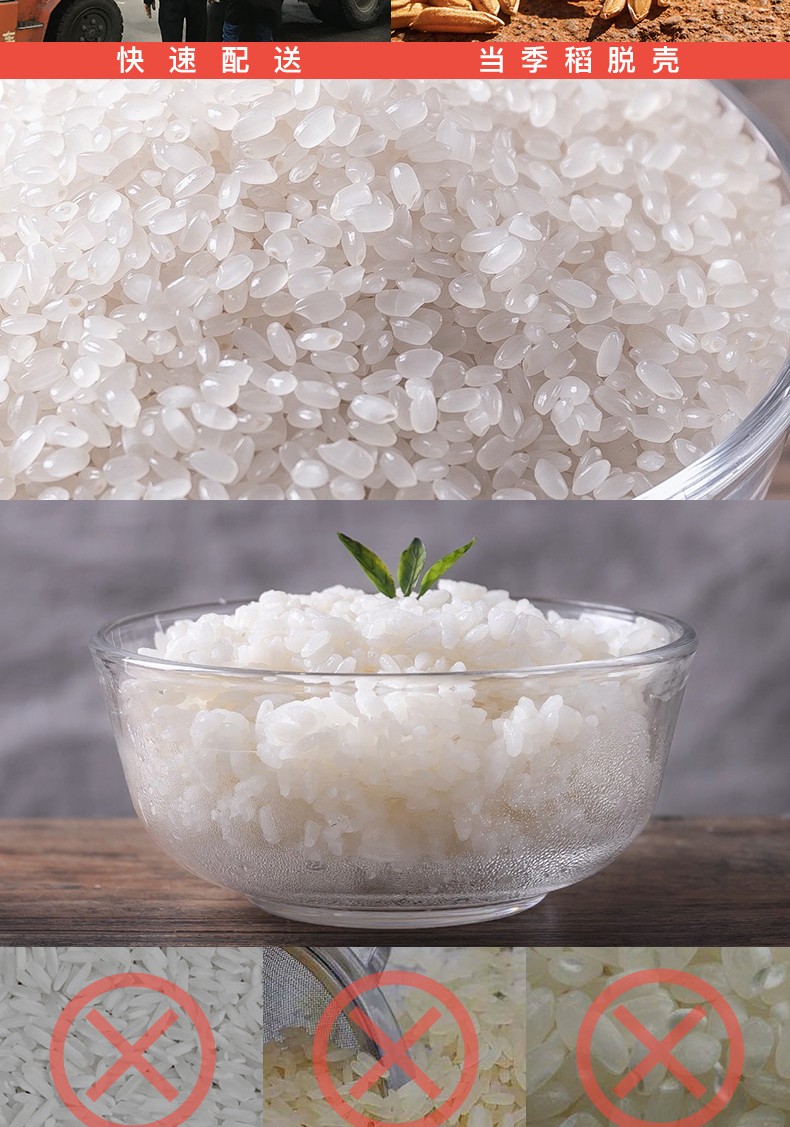 【2020年新米】十月稻田  东北大米5kg 寒地珍珠米10斤
