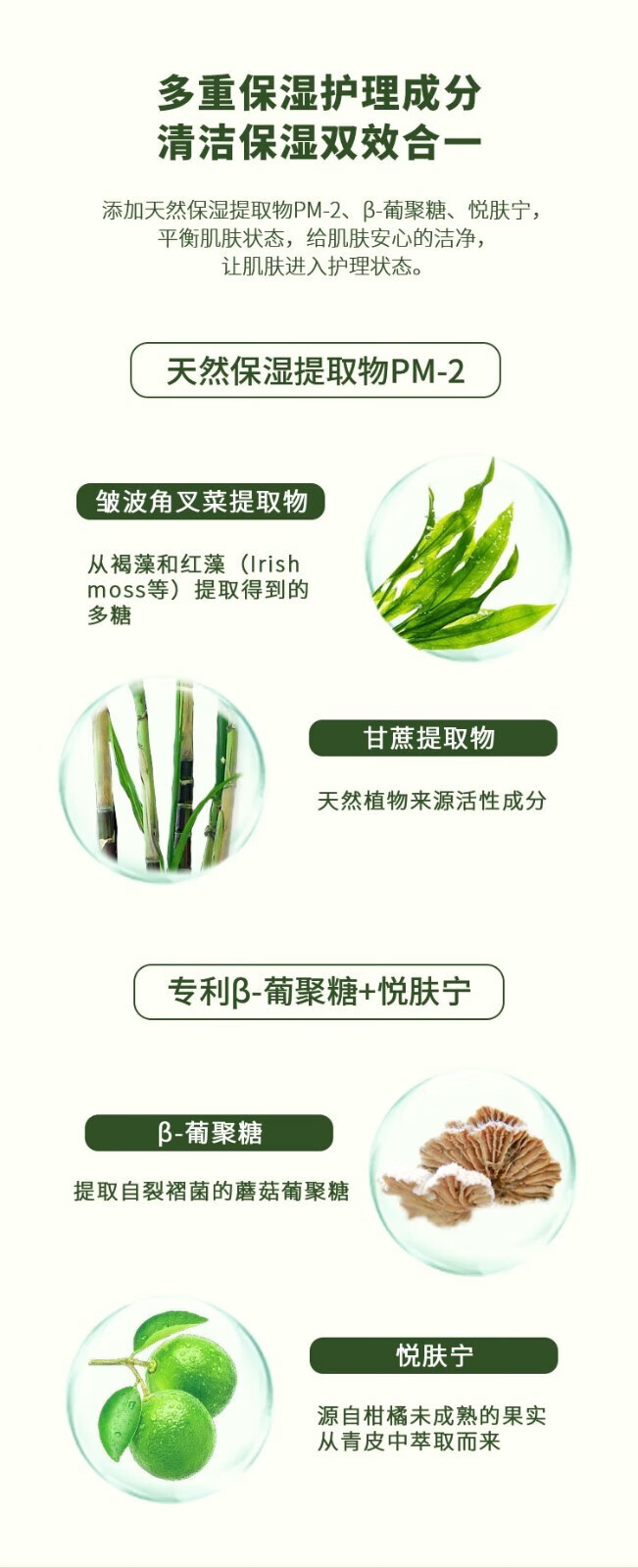 娇润泉洗面奶【杨哥七姐推荐同款】臻颜净透氨基酸洗面奶温和洁面乳 2支