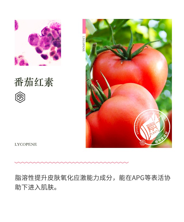 素密肽（SUMMITYLE） SUMMITYLE素密肽温和净透微泡洗面奶II