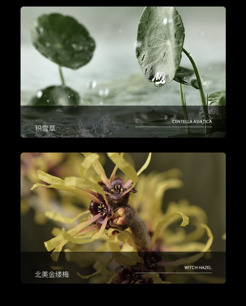 洁肤泉男士海洋酷爽润肤霜 男士面霜护肤品（巨补水） 二瓶装50g*2