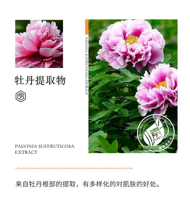 SUMMITYLE防护霜II 30ml