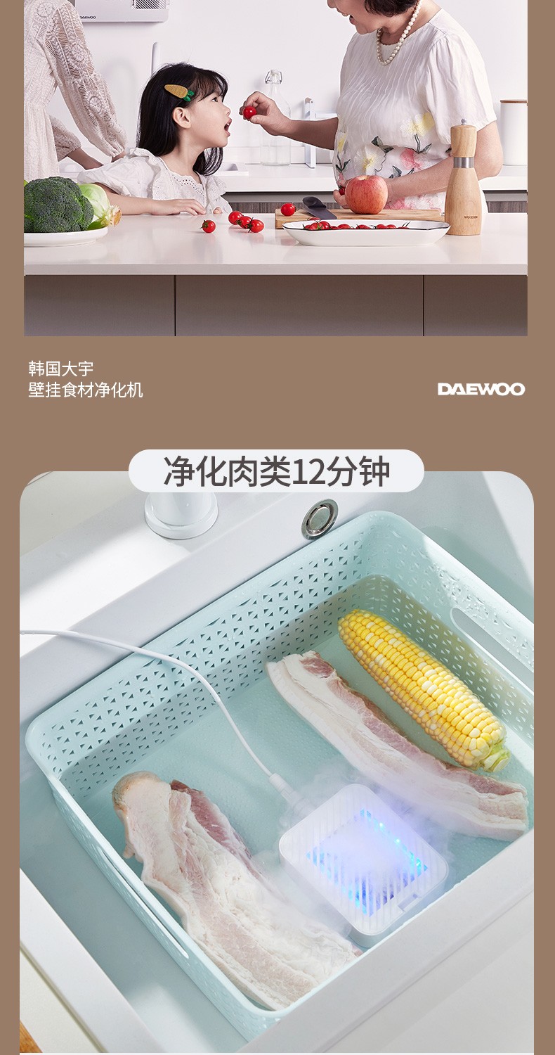 韩国大宇(DAEWOO) 家用壁挂式全自动洗菜机果蔬卫士清洗机肉类水果食材海鲜净化机 清新绿