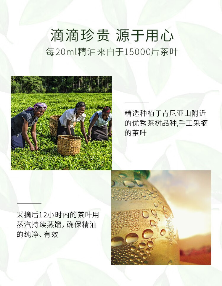 美体小铺（THE BODY SHOP） 英国TBS茶树精油 去粉刺闭口 淡化痘印 20ml（15%茶树油）23.12到期