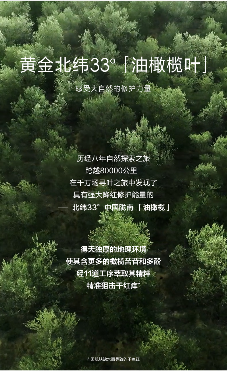 一叶子爽肤水女 补水保湿修色修护肌肤屏障舒缓维稳改善泛红 敏感肌适用化妆护肤品 油橄榄B5双修精粹水 【 120ml 】